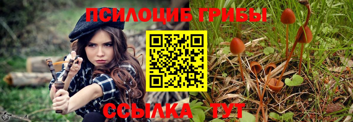 Псилоцибиновые грибы мицелий Северск