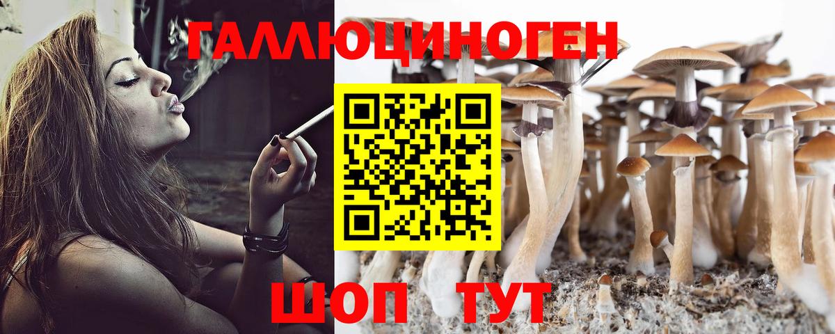 купить  сайты  Вход с VPN  Псилоцибиновые грибы мицелий  Северск  Псилоцибиновые грибы MAGIC MUSHROOMS 